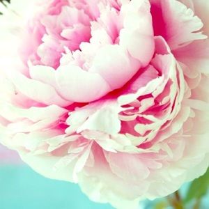 Meet your Posher, Maya! 💕